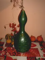 IMAG1585.webp
