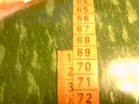 IMAG1590.webp