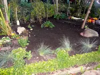 SDC12458.webp