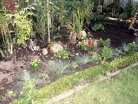 SDC12460.webp