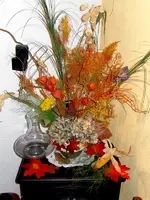 SDC12462.webp