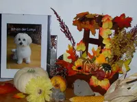 SDC12464.webp