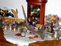 SDC12465.webp
