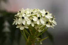 IMG_8770.webp