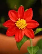 IMG_8771.webp