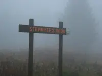 schw Moor.webp
