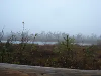 schw Moor 4.webp