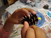 rainbow fish in the making.webp