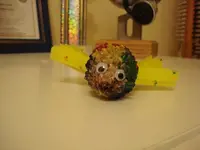 rainbow fish.webp