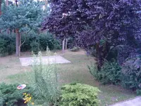 HPIM6025.webp