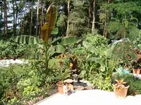Terasse Blick in den Garten.webp