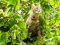 P1020948_Web.webp