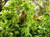 P1020947Web_2.webp