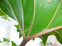 DSCF06571_Xandu_4.webp
