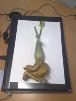 20102010768.webp