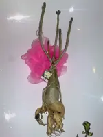 20102010762.webp