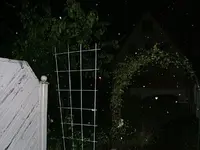 DSCF4253.webp