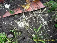 JD500296.webp