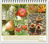 Herbst.webp