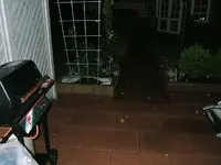 DSCF4255.webp
