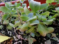 SAM_0616.webp