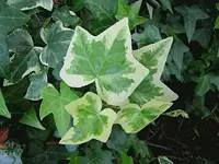 Oktober 10 349v.webp