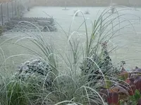 DSCF5527.webp