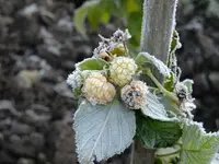 DSCF5532.webp