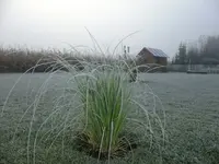 DSCF5533.webp
