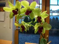 006.webp