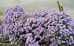 101022 005.webp