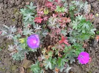 101022 008.webp