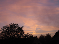 IMGP5683.webp