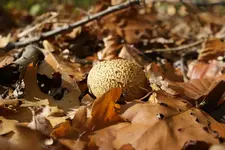 Fotowettbewerb_Oktober.webp