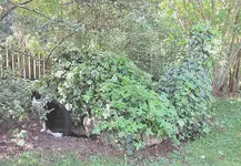 Oktober 10 361.webp
