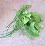 Oktober 10 256v.webp