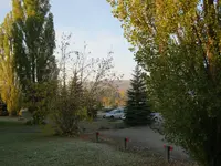 001.webp
