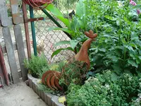 2010 07 22 Kira2 077.webp