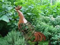 2010 07 22 Kira2 082.webp