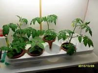 SAM_0152.webp
