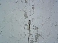 DSCF0006.webp
