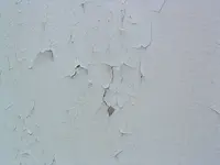 DSCF0008.webp
