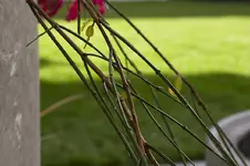 unbekannt1.webp