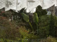 IMGP3280.webp