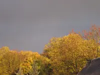 IMG_2620.webp