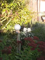 IMG_3162.webp