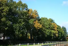 Richtung Wäldchen3.webp