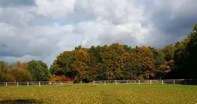 Richtung Wäldchen7.webp