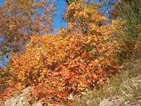 Bild 533.webp