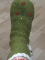 Hüttenschuhe2.webp